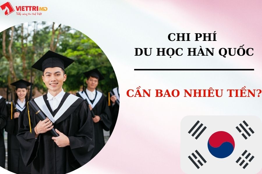 Chi Ph I Du H C H N Qu C C N Bao Nhi U Ti N Vi T Tr Md