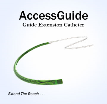 Access-Guide(1).jpg