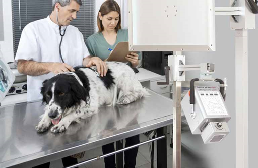 Veterinary-Medicine-Mobile-stands-wall-mounts-and-cassette-holders-3_768x500.jpg