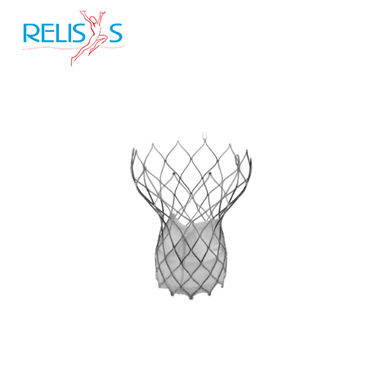 Self-Expandable Transcatheter Valve - Vienna Aortic Valve SE