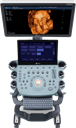 p25expert1-ovj28zfvlsnqdelkb8o9wjm073ba4f6r1yafl4ritc.png