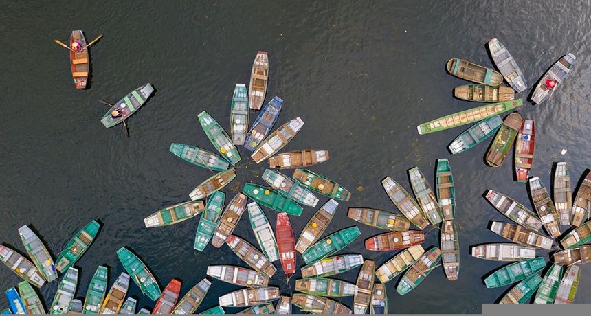 Cảnh sắc hữu tình 3 miền Việt Nam 13