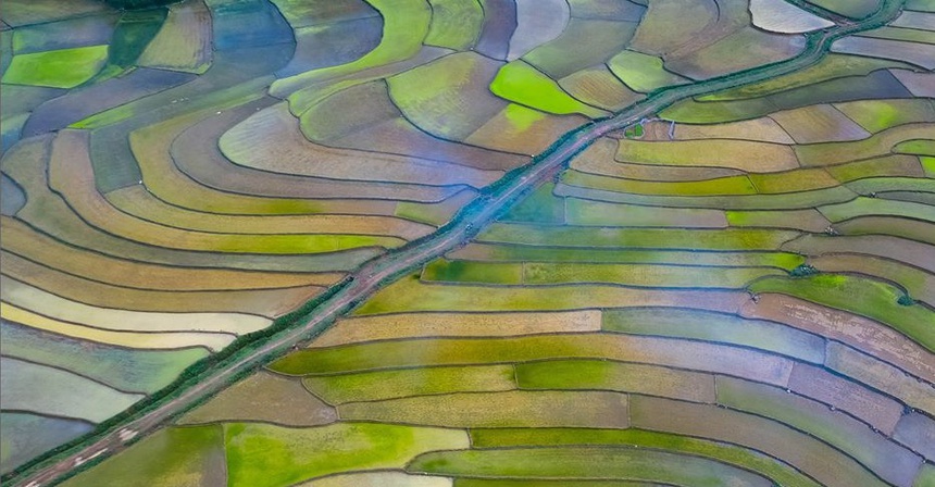 Cảnh sắc hữu tình 3 miền Việt Nam 15