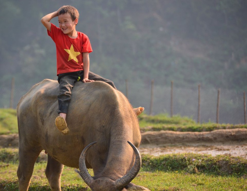 Cảnh sắc hữu tình 3 miền Việt Nam 23