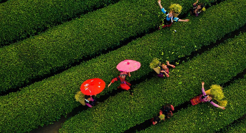 Cảnh sắc hữu tình 3 miền Việt Nam 6