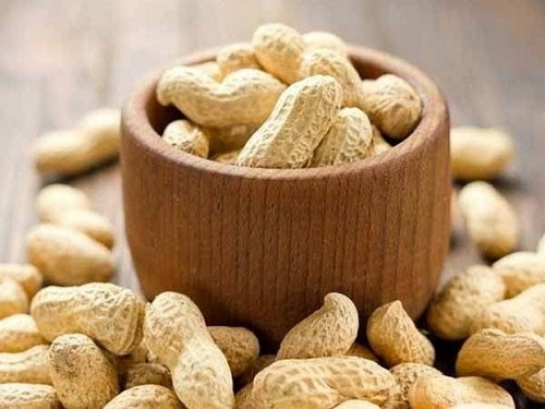 Chất dinh dưỡng cần thiết cho não bộ
