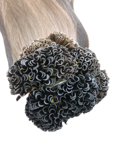 U tip human hair extensions