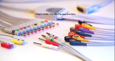 Đầu đo điện tim cho máy điện tim Mindray