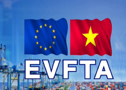 Tư vấn về HĐTMTD Việt Nam-EU (EVFTA)