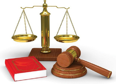 Demo -  Về Tranh Chấp Hợp Đồng Đặt Cọc Chuyển Nhượng Quyền Sử Dụng Đất