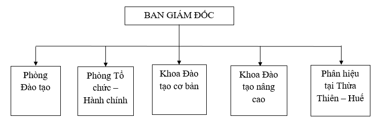 Cơ cấu tổ chức