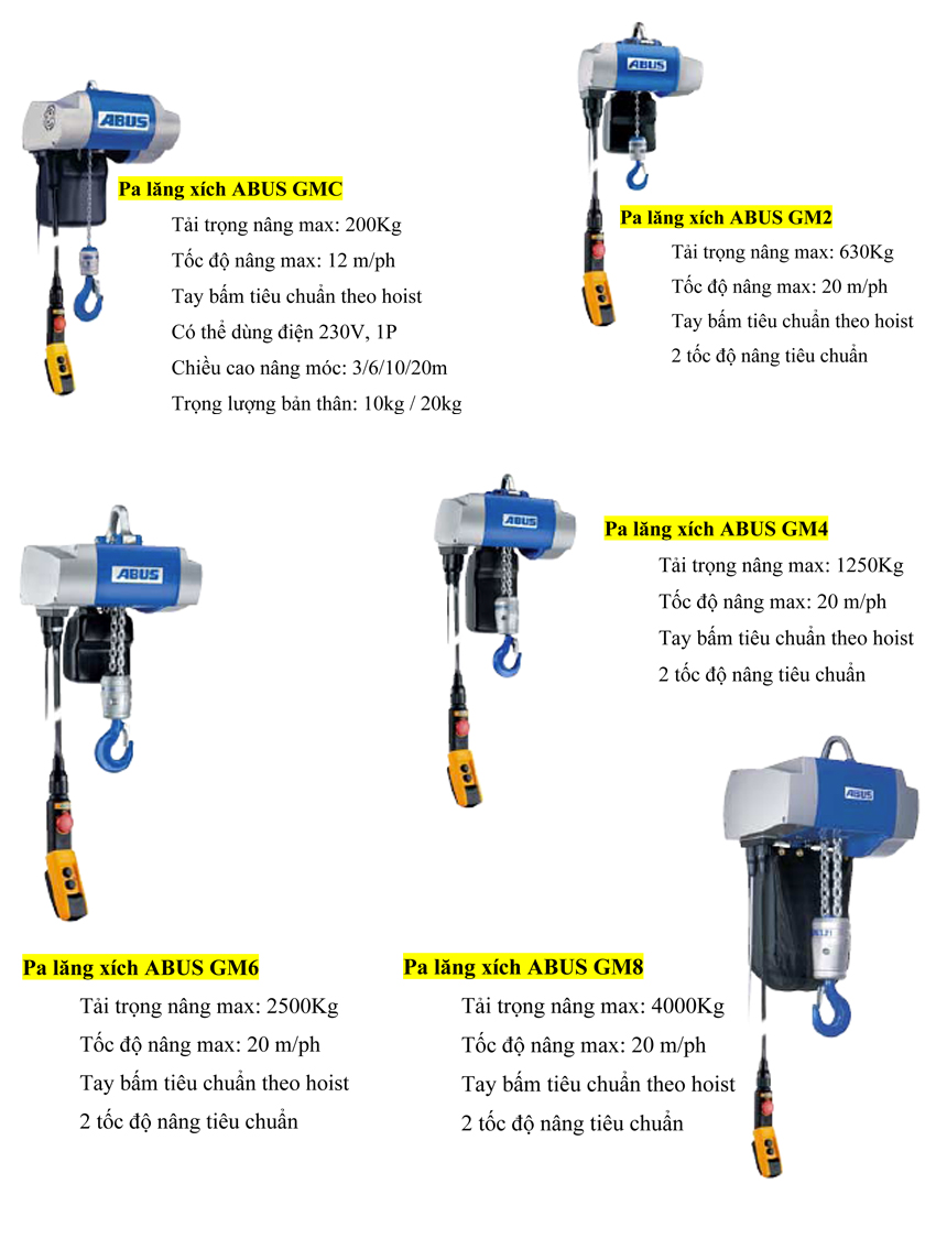 Electric chain hoist 1