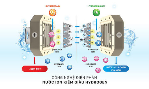 nguyên lý hoạt động máy điện giải ion kiềm Fuji smart P8