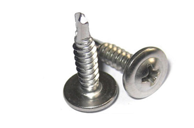 Vít đầu dù đuôi cá