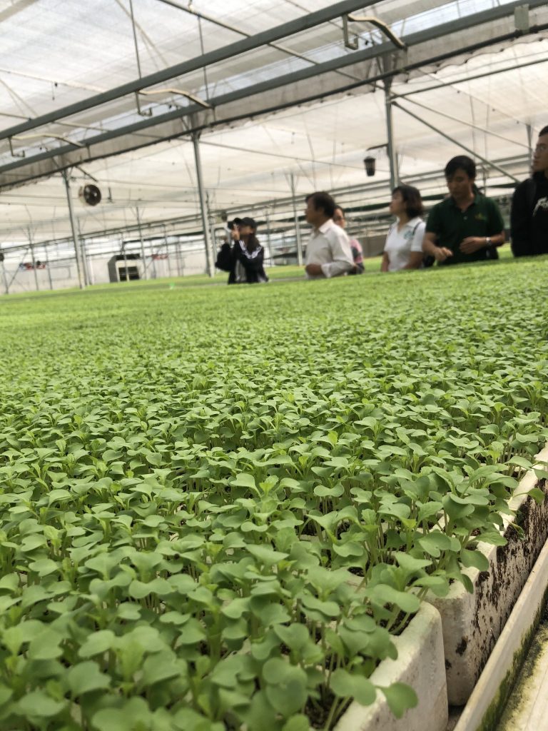 Cùng Thầy và trò Khoa Công nghệ Nông nghiệp ghé thăm VinEco Tam Đảo 6