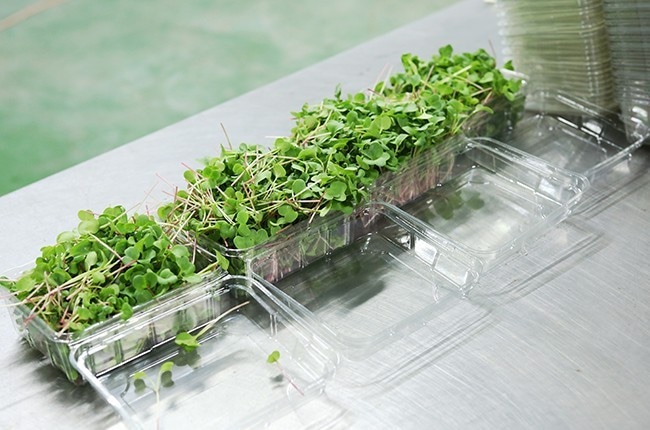 Cùng Thầy và trò Khoa Công nghệ Nông nghiệp ghé thăm VinEco Tam Đảo 9