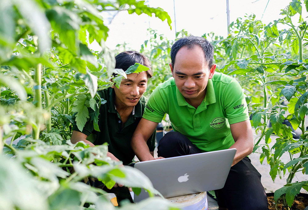 Kiếm hàng trăm triệu đồng từ trồng rau mỗi tháng bằng “Công nghệ điện toán đám mây” 1