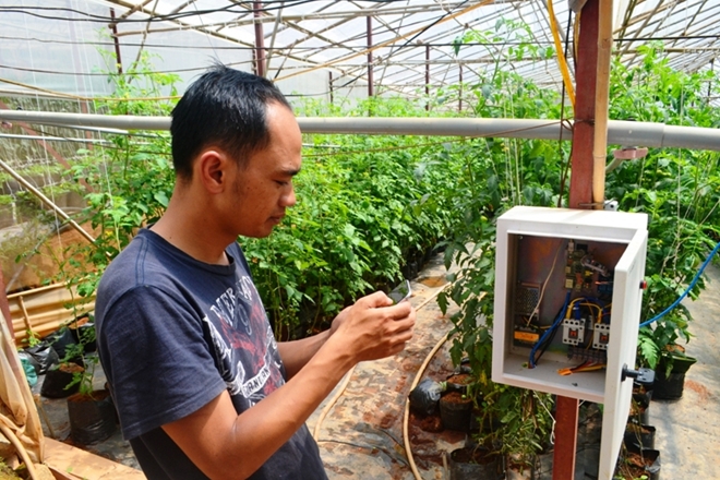 Kiếm hàng trăm triệu đồng từ trồng rau mỗi tháng bằng “Công nghệ điện toán đám mây” 3