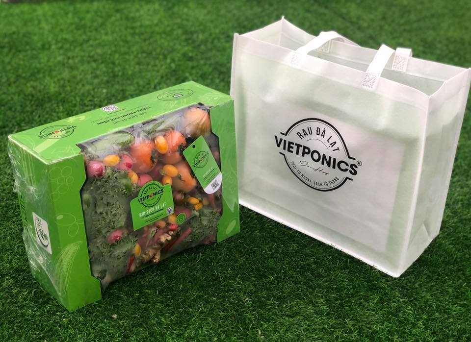 Kiếm hàng trăm triệu đồng từ trồng rau mỗi tháng bằng “Công nghệ điện toán đám mây” 9