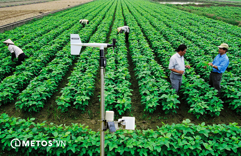 Trao đổi, hợp tác giữa Khoa Công Nghệ Nông nghiệp với Công ty CP Giải pháp Thời tiết và Nông nghiệp AgriMedia và Viện Công nghệ xanh (GREENTECH) 2