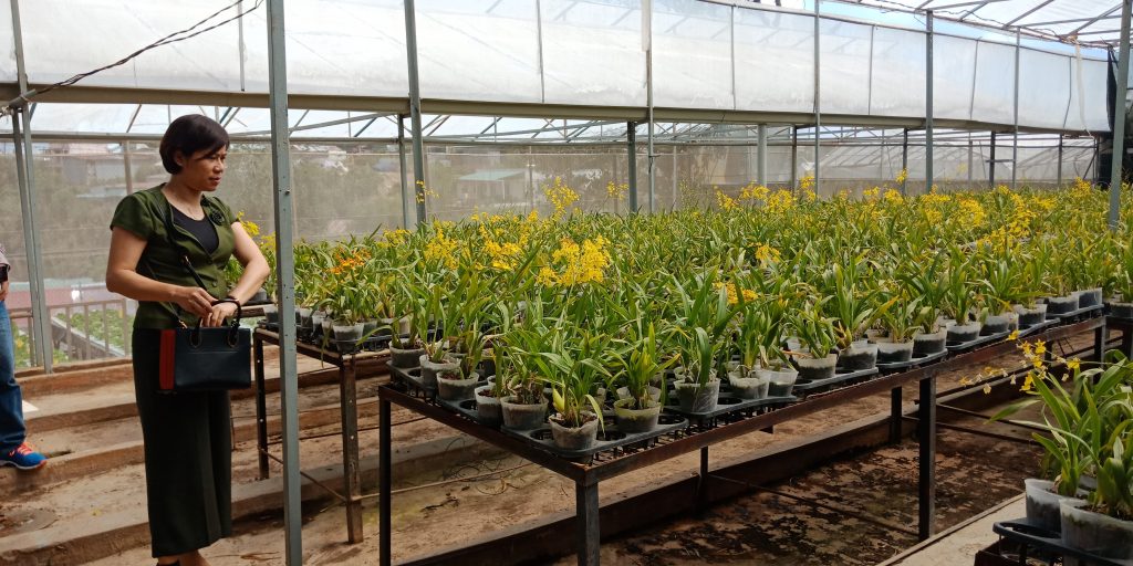 Trường Đại học Công Nghệ tham quan mô hình nông nghiệp công nghệ cao tại Đà Lạt 1