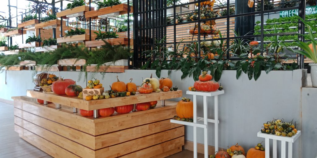 Trường Đại học Công Nghệ tham quan mô hình nông nghiệp công nghệ cao tại Đà Lạt 12