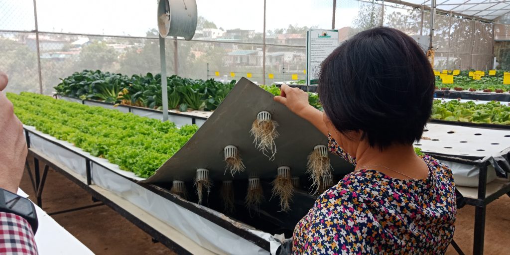 Trường Đại học Công Nghệ tham quan mô hình nông nghiệp công nghệ cao tại Đà Lạt 2