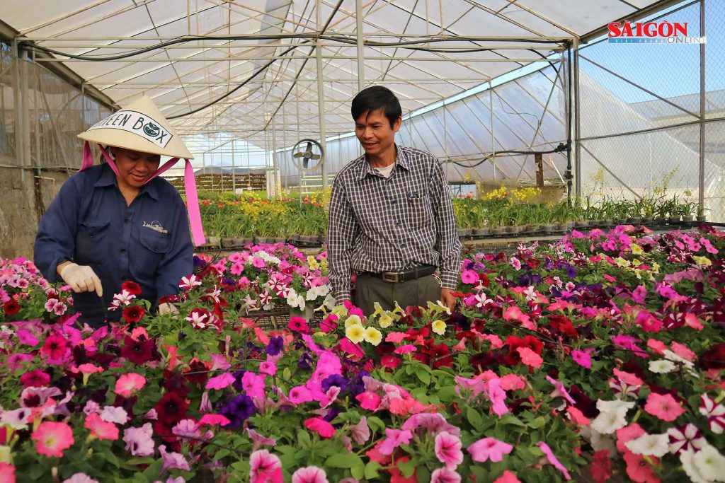 Trường Đại học Công Nghệ tham quan mô hình nông nghiệp công nghệ cao tại Đà Lạt 5