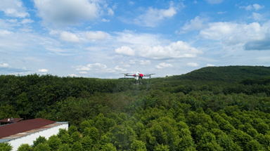 Máy bay không người lái phục vụ phun thuốc trừ sâu và tìm sâu bệnh