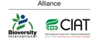 CIAT