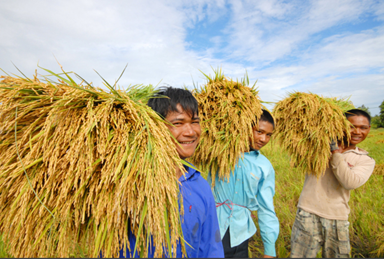 Thư chúc mừng nhân kỷ niệm 76 năm Ngày Truyền thống ngành Nông nghiệp & PTNT