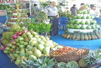 Tài liệu nghề Nông Lập Kết Hợp