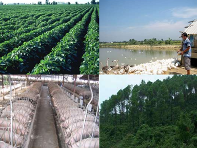 Tài liệu nghề Quản Lý Trang Trại