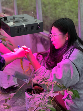 Thực tập – nơi tri thức nảy mầm từ ánh sáng!