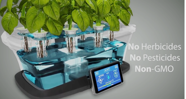 THIẾT BỊ TRỒNG RAU, THẢO MỘC MINI THÔNG MINH  2