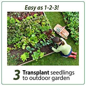 THIẾT BỊ TRỒNG RAU, THẢO MỘC MINI THÔNG MINH  7