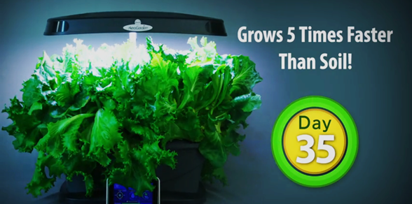 THIẾT BỊ TRỒNG RAU, THẢO MỘC MINI THÔNG MINH 1