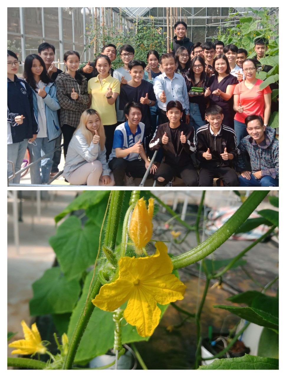 Ngành Công nghệ Nông nghiệp: Lựa chọn phát triển tương lai từ xu hướng tất yếu và thế mạnh của đất nước 4