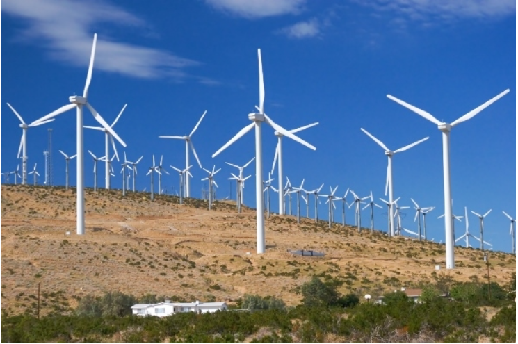 Năng lượng điện gió có hiệu quả và bền vững không?
