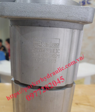 Bơm bánh răng 2 khoang CN103692021