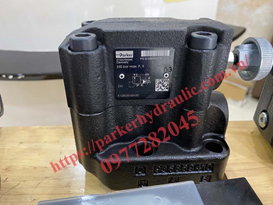 Van an toàn cơ bắt bích model R25R35S4SN