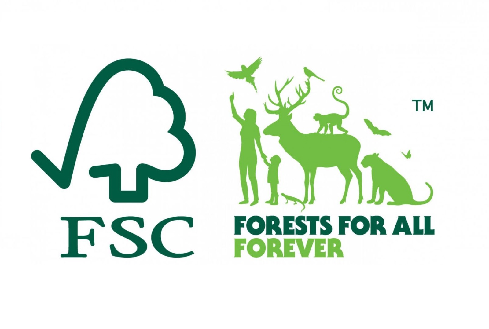 what-is-fsc-certified