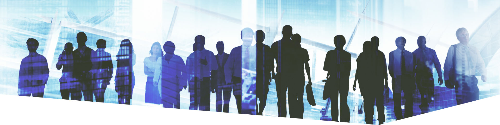 Đội ngũ nhân sự