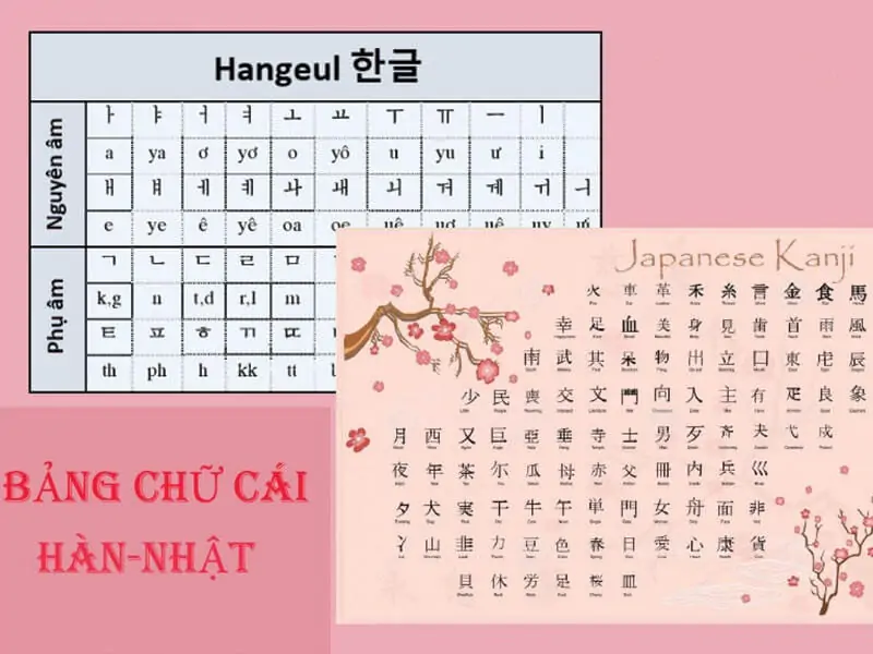 So sánh tiếng Hàn và tiếng Nhật? Ngôn ngữ nào khó học hơn 1