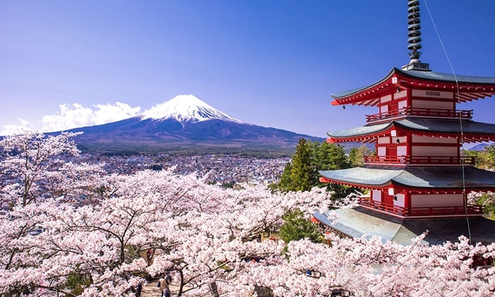 80 Japán  ảnh Japan miễn phí  Pixabay