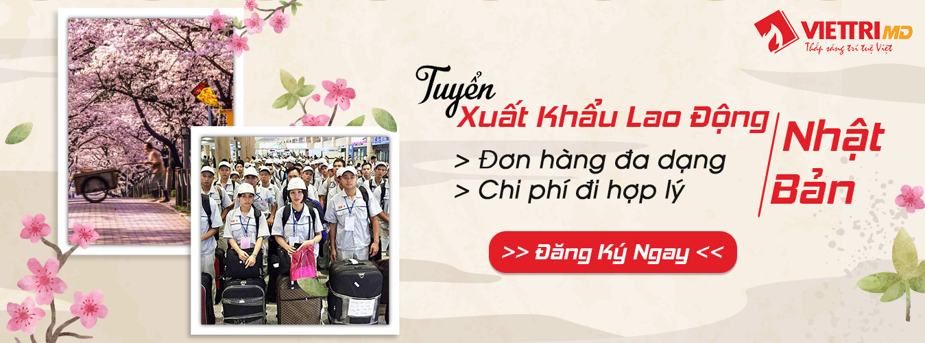 Các đơn hàng đi Nhật cho nữ 2022