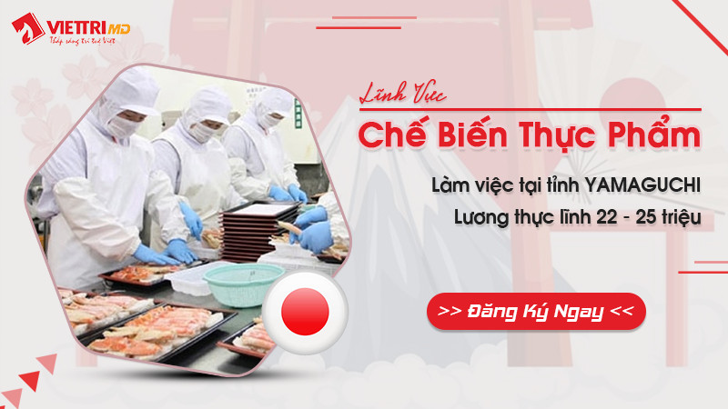 Xuất khẩu lao động Nhật Bản đơn hàng Chế Biến Thực Phẩm 2022