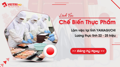 Đơn hàng ngành Thực Phẩm