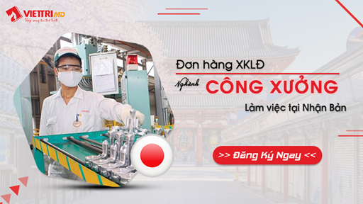 Đơn hàng Công Xưởng