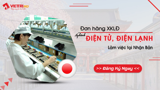 Đơn hàng Điện tử, Điện lạnh